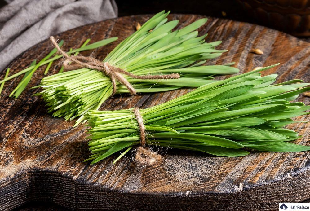 grestengras gegen haarausfall